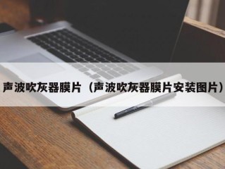 声波吹灰器膜片（声波吹灰器膜片安装图片）