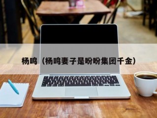 杨鸣（杨鸣妻子是盼盼集团千金）