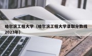 哈尔滨工程大学（哈尔滨工程大学录取分数线2023年）