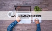 enfp（enfp型人格什么意思）