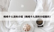 杨鸣个人资料介绍（杨鸣个人资料介绍图片）