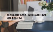 2023年属什么生肖（2023年属什么生肖属于什么命）