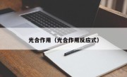 光合作用（光合作用反应式）