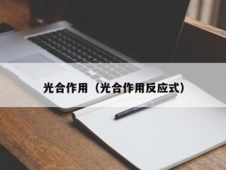 光合作用（光合作用反应式）