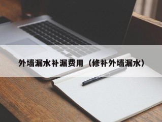 外墙漏水补漏费用（修补外墙漏水）