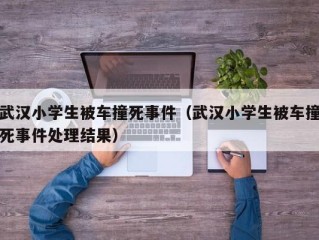 武汉小学生被车撞死事件（武汉小学生被车撞死事件处理结果）