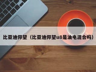 比亚迪仰望（比亚迪仰望u8是油电混合吗）