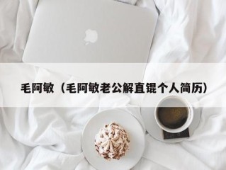 毛阿敏（毛阿敏老公解直锟个人简历）