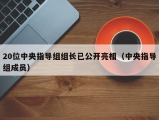 20位中央指导组组长已公开亮相（中央指导组成员）