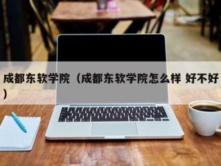 成都东软学院（成都东软学院怎么样 好不好）