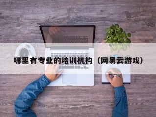 哪里有专业的培训机构（网易云游戏）