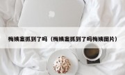 梅姨案抓到了吗（梅姨案抓到了吗梅姨图片）