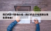 我们的日子剧情介绍（我们的日子电视剧全集免费观看）