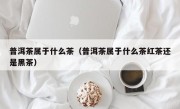 普洱茶属于什么茶（普洱茶属于什么茶红茶还是黑茶）