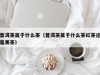 普洱茶属于什么茶（普洱茶属于什么茶红茶还是黑茶）