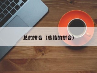 总的拼音（总结的拼音）