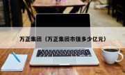 万正集团（万正集团市值多少亿元）