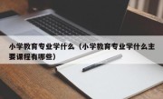 小学教育专业学什么（小学教育专业学什么主要课程有哪些）