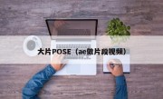 大片POSE（ae做片段视频）