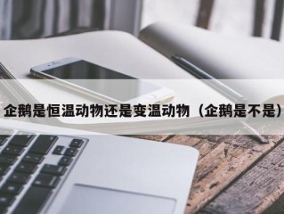 企鹅是恒温动物还是变温动物（企鹅是不是）