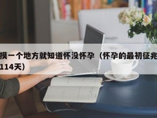 摸一个地方就知道怀没怀孕（怀孕的最初征兆114天）