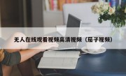 无人在线观看视频高清视频（茄子视频）