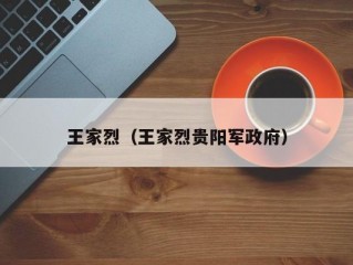 王家烈（王家烈贵阳军政府）