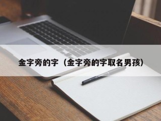 金字旁的字（金字旁的字取名男孩）