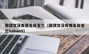 张颂文没有提名白玉兰（张颂文没有提名白玉兰habao5）