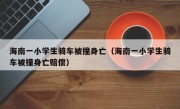 海南一小学生骑车被撞身亡（海南一小学生骑车被撞身亡赔偿）