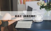 高启兰（高启兰图片）