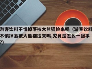 游客饮料不慎掉落被大熊猫捡来喝（游客饮料不慎掉落被大熊猫捡来喝,究竟是怎么一回事?）