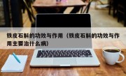 铁皮石斛的功效与作用（铁皮石斛的功效与作用主要治什么病）