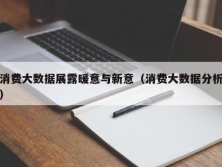 消费大数据展露暖意与新意（消费大数据分析）