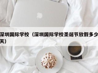 深圳国际学校（深圳国际学校圣诞节放假多少天）