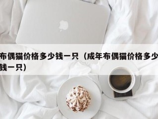 布偶猫价格多少钱一只（成年布偶猫价格多少钱一只）