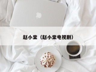 赵小棠（赵小棠电视剧）