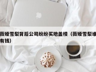 薇娅雪梨背后公司纷纷买地盖楼（薇娅雪梨谁有钱）