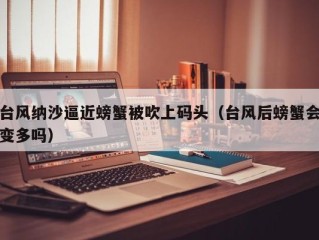 台风纳沙逼近螃蟹被吹上码头（台风后螃蟹会变多吗）