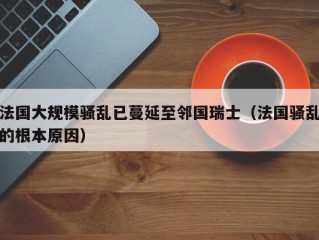 法国大规模骚乱已蔓延至邻国瑞士（法国骚乱的根本原因）