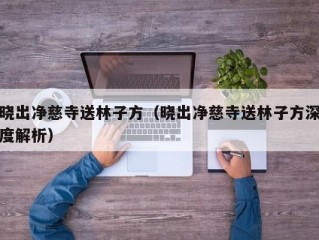 晓出净慈寺送林子方（晓出净慈寺送林子方深度解析）