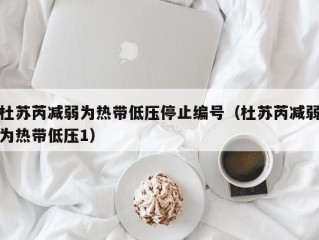 杜苏芮减弱为热带低压停止编号（杜苏芮减弱为热带低压1）