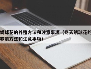 绣球花的养殖方法和注意事项（冬天绣球花的养殖方法和注意事项）