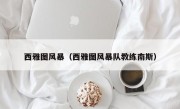 西雅图风暴（西雅图风暴队教练南斯）