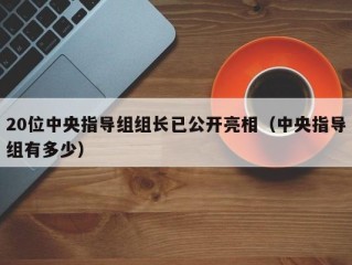 20位中央指导组组长已公开亮相（中央指导组有多少）