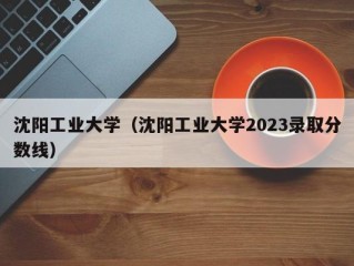 沈阳工业大学（沈阳工业大学2023录取分数线）