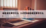 编程课主要学什么（小学生编程课主要学什么）