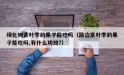 绿化树紫叶李的果子能吃吗（路边紫叶李的果子能吃吗,有什么功效?）