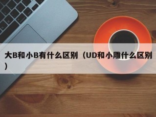 大B和小B有什么区别（UD和小雕什么区别）