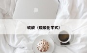 硫酸（硫酸化学式）